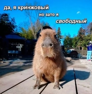 baz-2